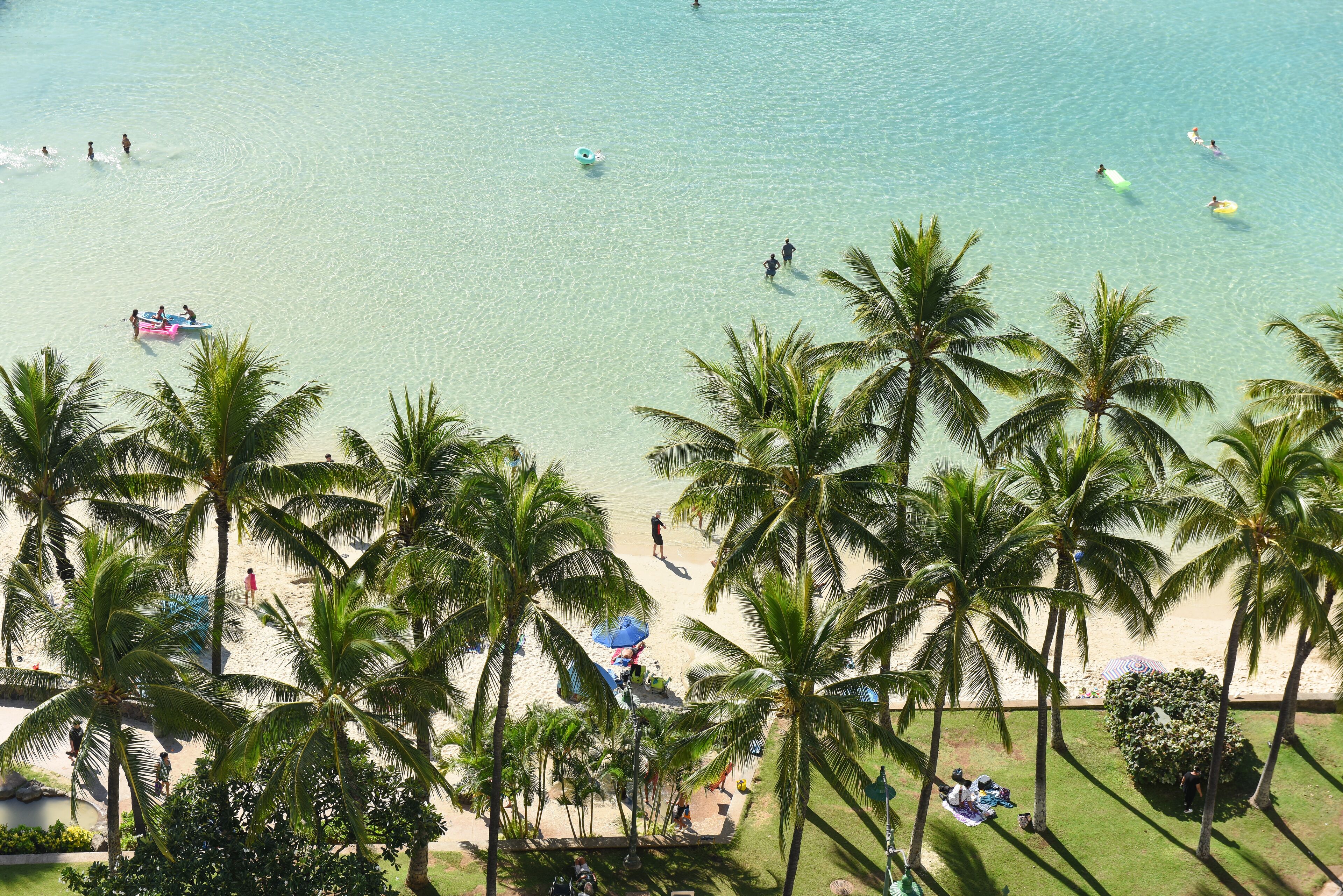 Photo - Park Shore Waikiki