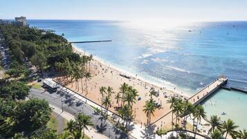 A beach with a pier, palm trees, and a road with vehicles.