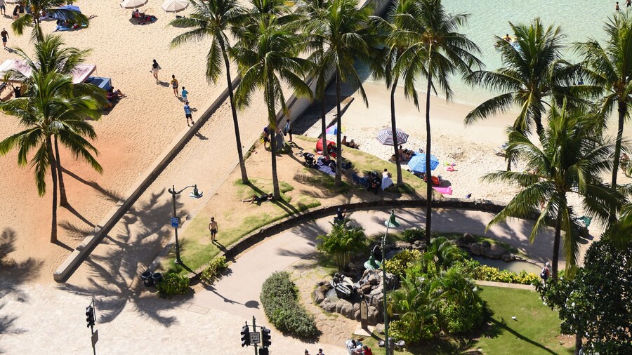 Park Shore Waikiki