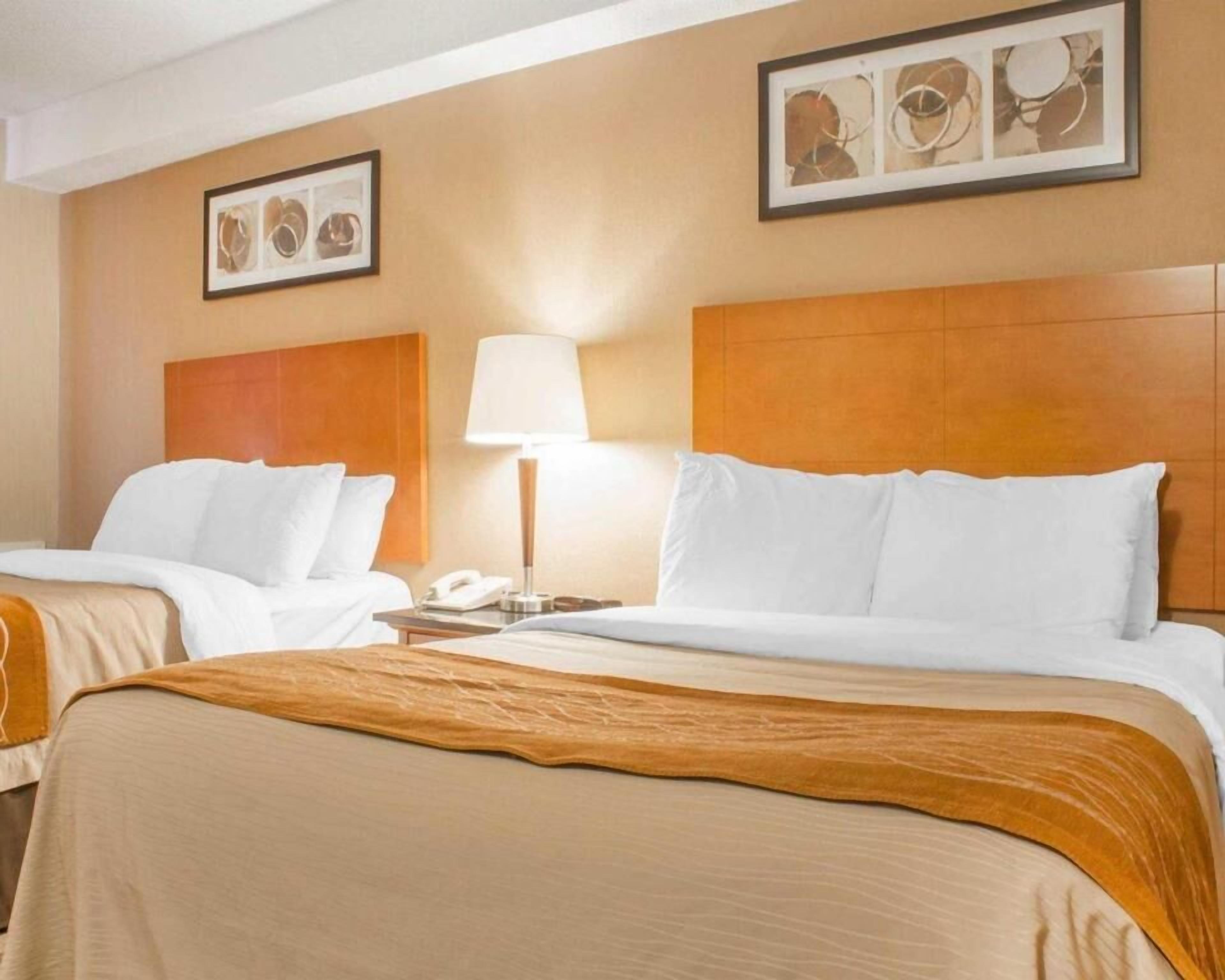 Desk, iron/ironing board, free cots/infant beds, free WiFi