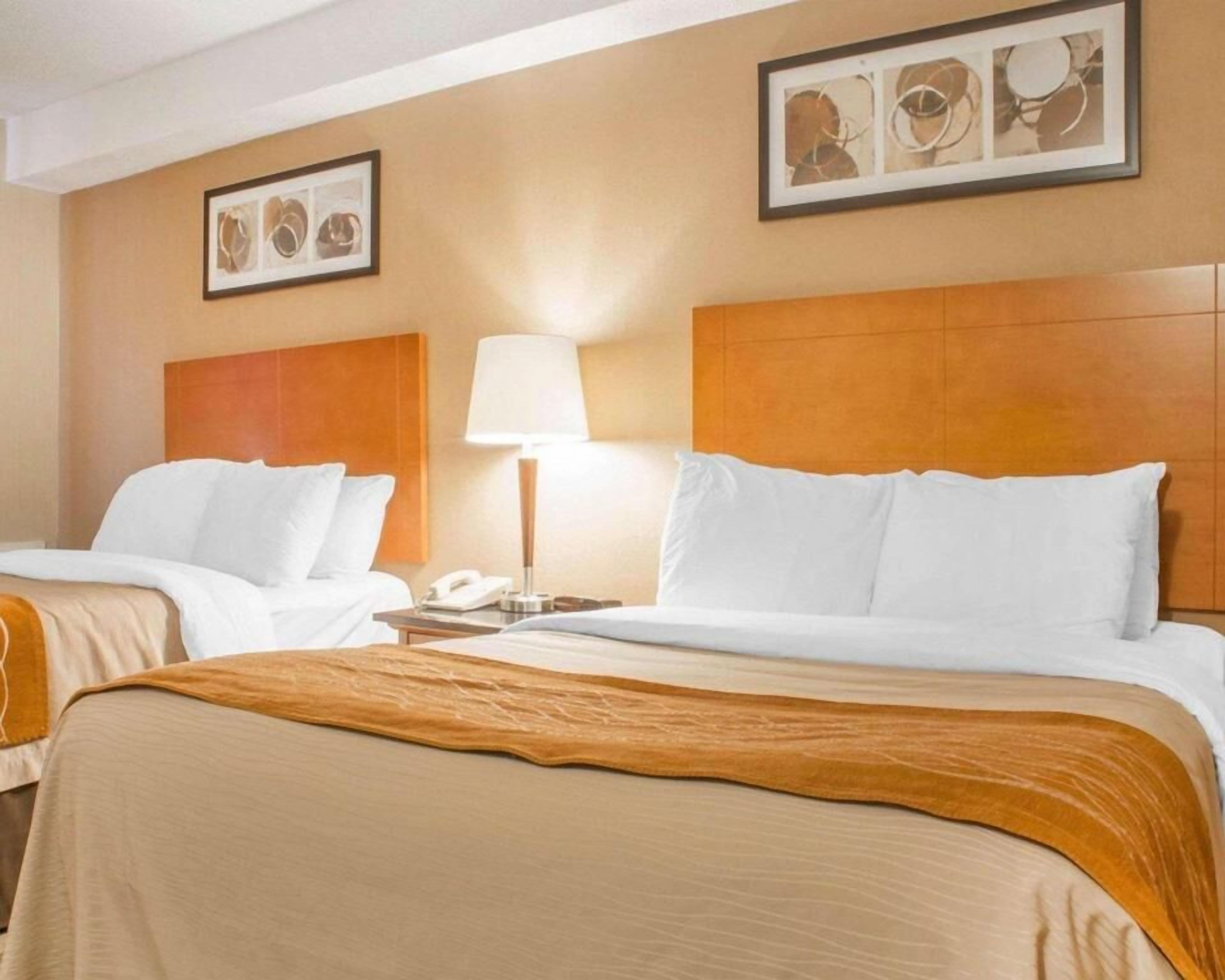 Desk, iron/ironing board, free cots/infant beds, free WiFi