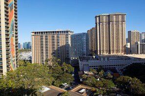 Vista des de l'habitació