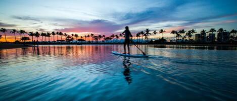 Eine Person steht auf einem Paddleboard auf ruhigem Wasser, im Hintergrund ein Sonnenuntergang und die Küste gesäumt von Palmen.