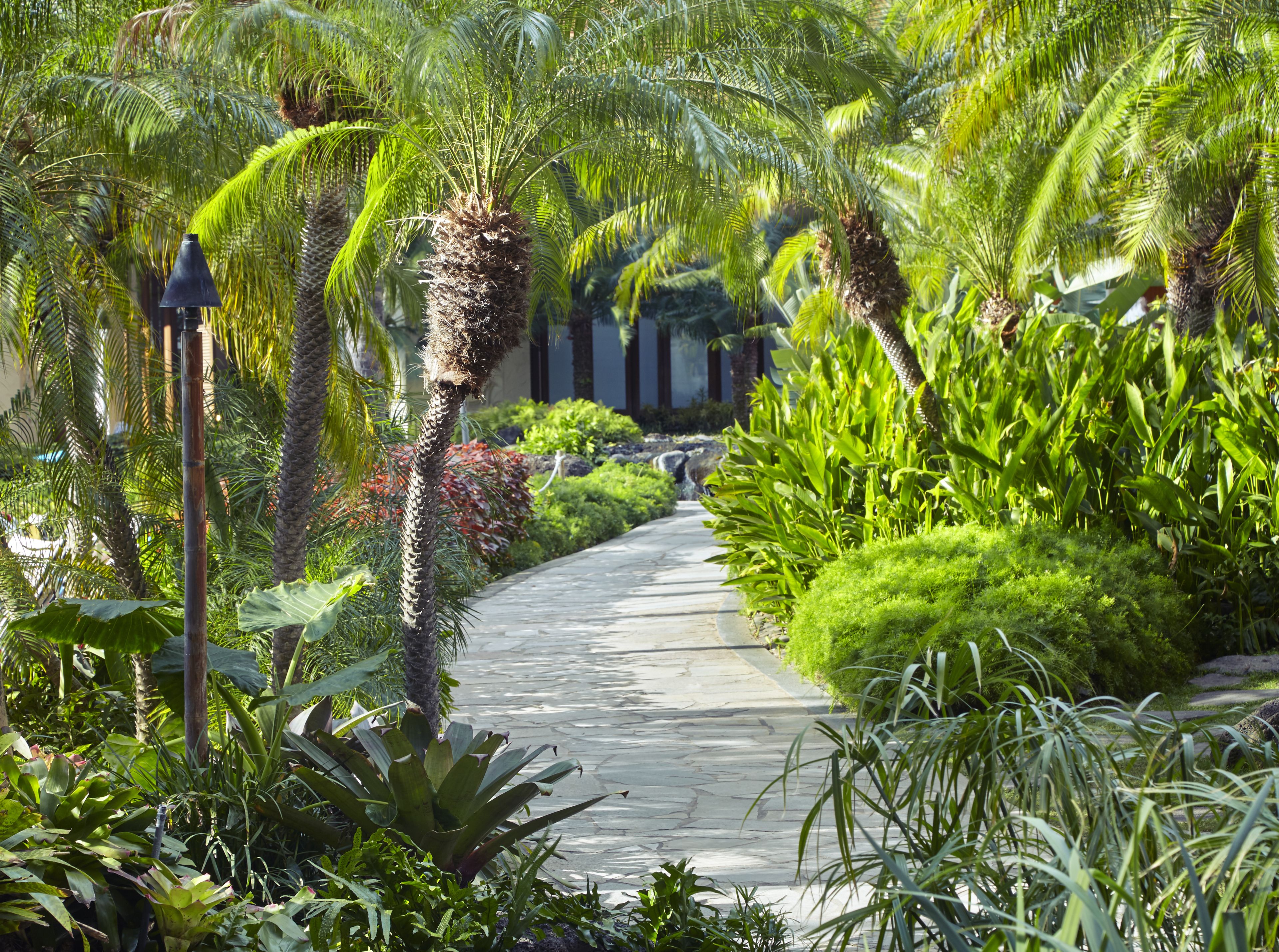 Foto - Hilton Hawaiian Village Waikiki Beach Resort