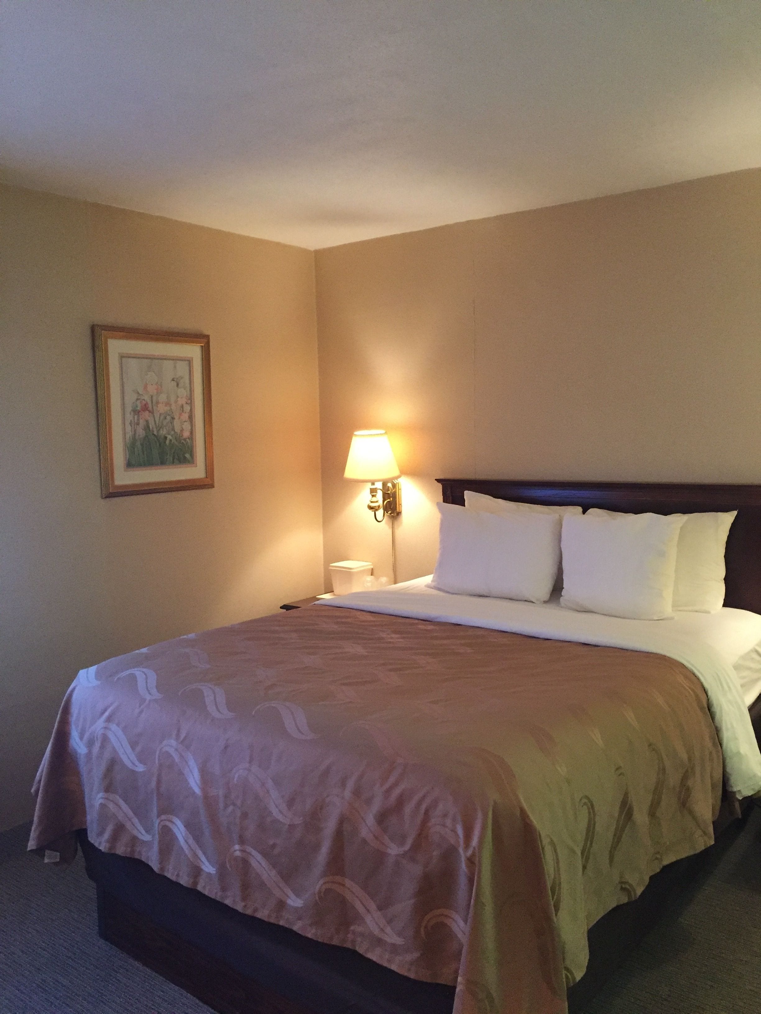 Foto - Quality Inn Pittsburgh Airport
