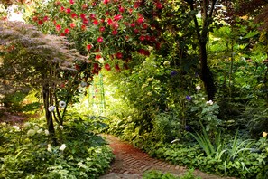 Garden - Albergo Quattro Fontane - Residenza d'Epoca (Venice)