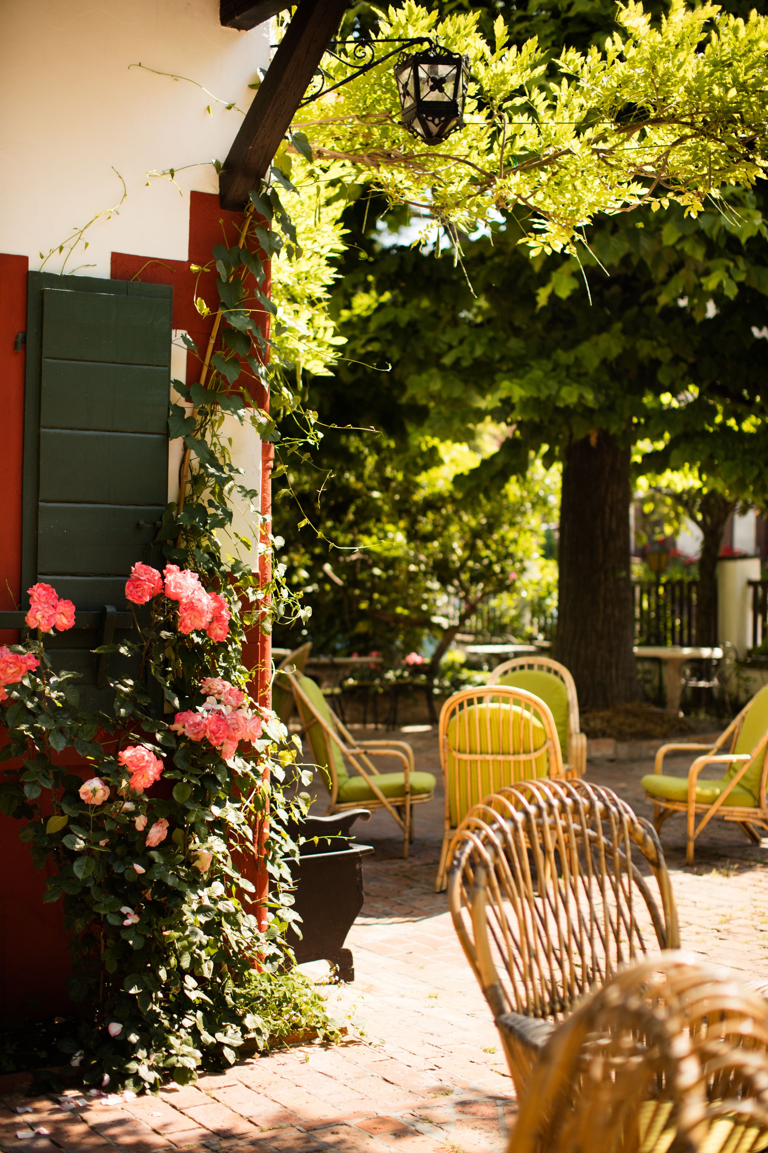 Une cour avec des chaises en osier, un pot de fleurs et un mur recouvert de rosiers grimpants.