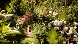 Un jardín con cerca de madera, un sendero y un edificio con techo de tejas.