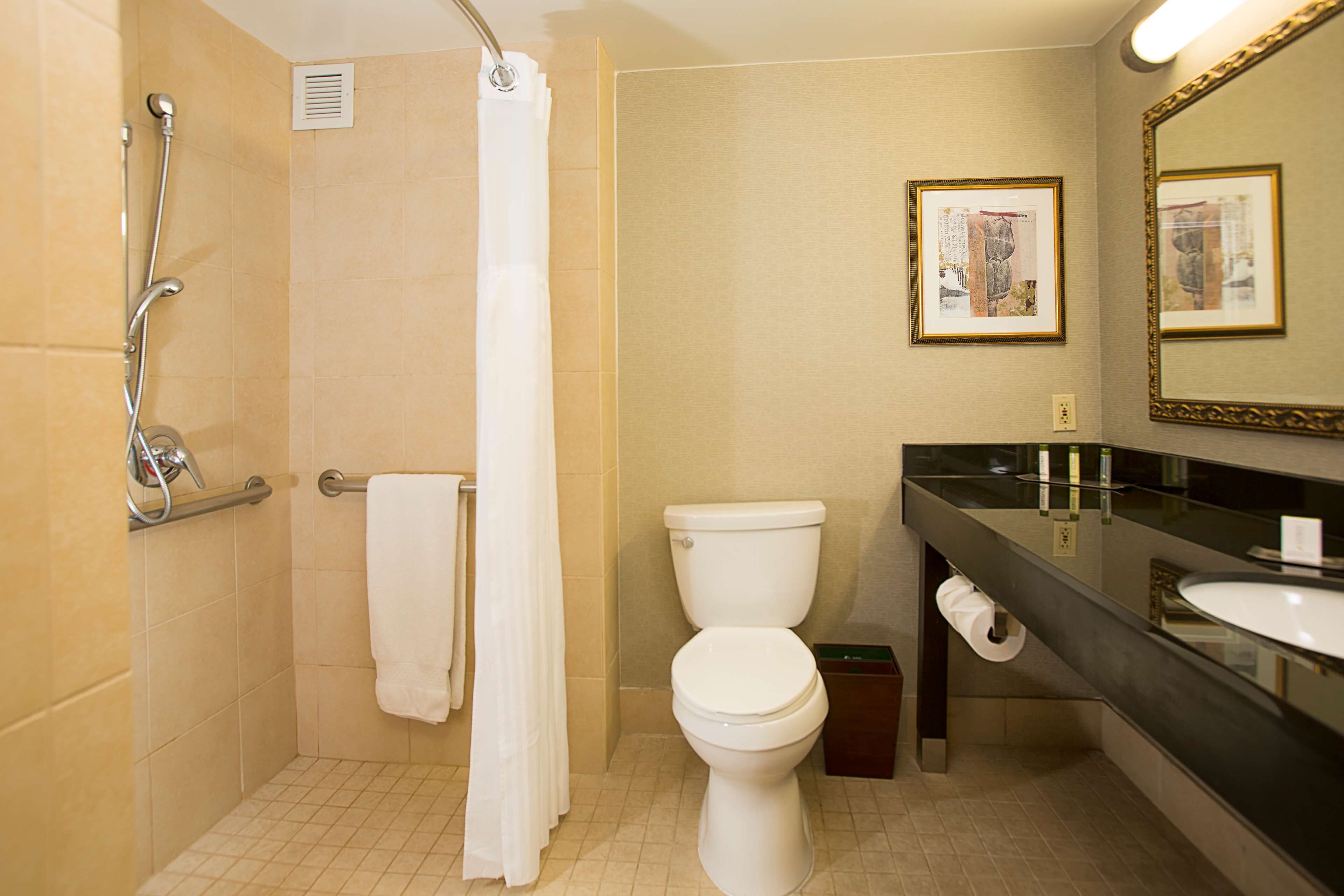 room, 1 king bed, accessible (roll-in shower) | bathroom | combined shower/bathtub, free toiletries, hair dryer, towels