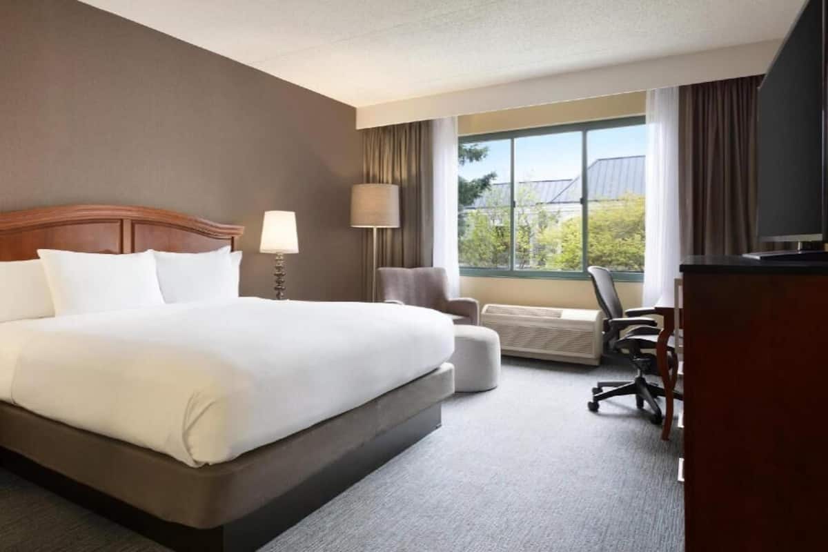 Premium bedding, down comforters, in-room safe, blackout drapes