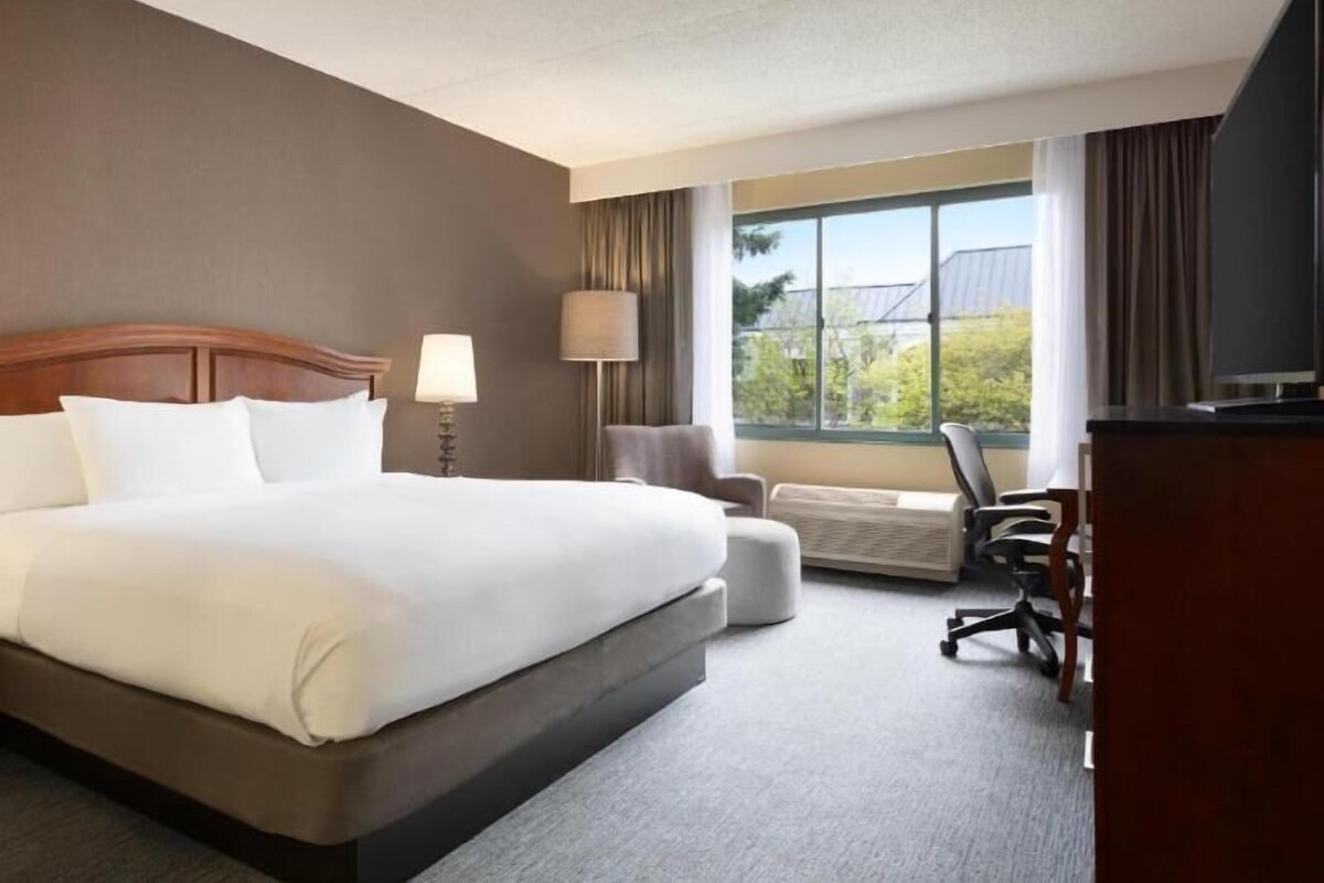 A hotel room with a large bed, a desk, a chair, a lamp, and a TV.