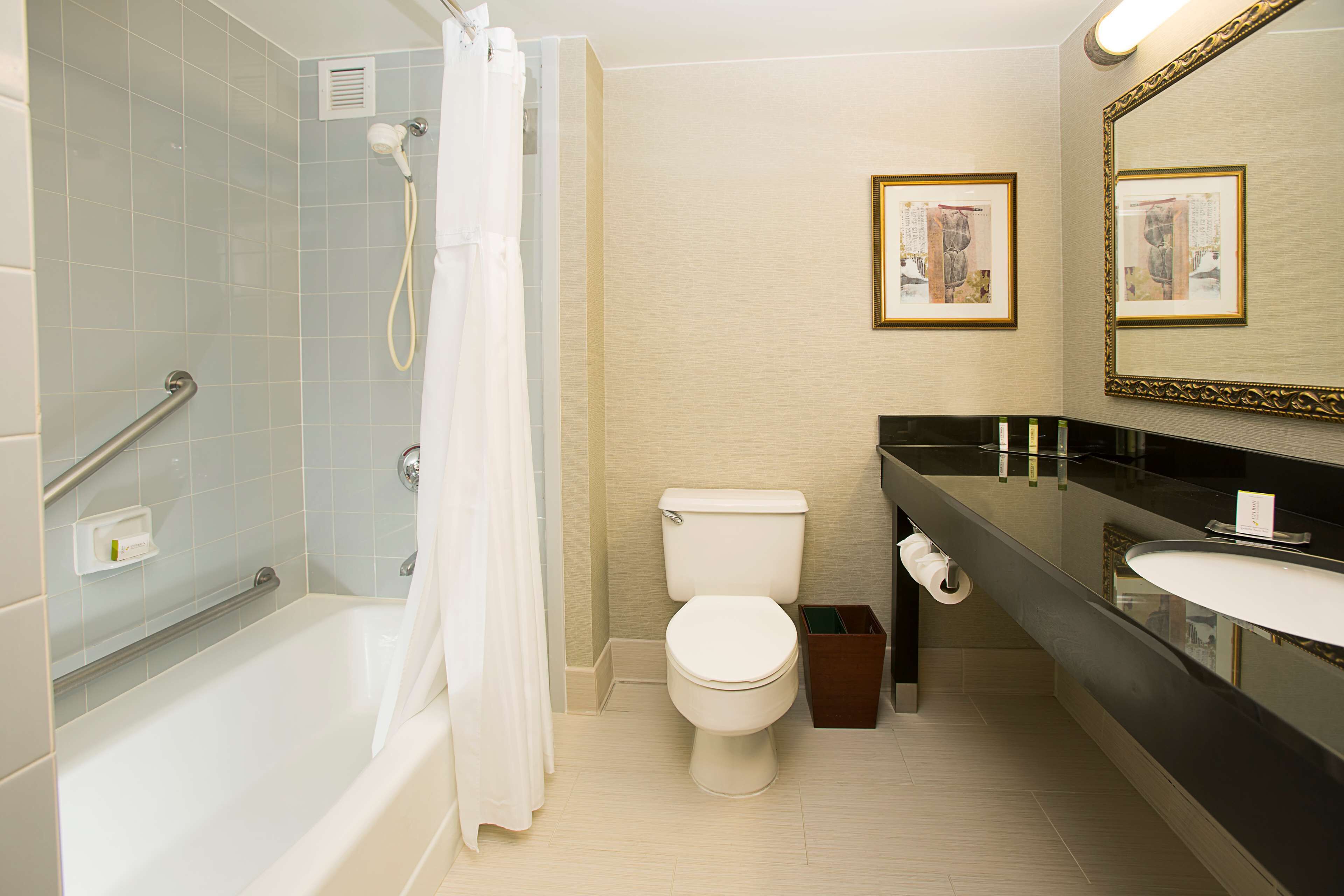 combined shower/bathtub, free toiletries, hair dryer, towels