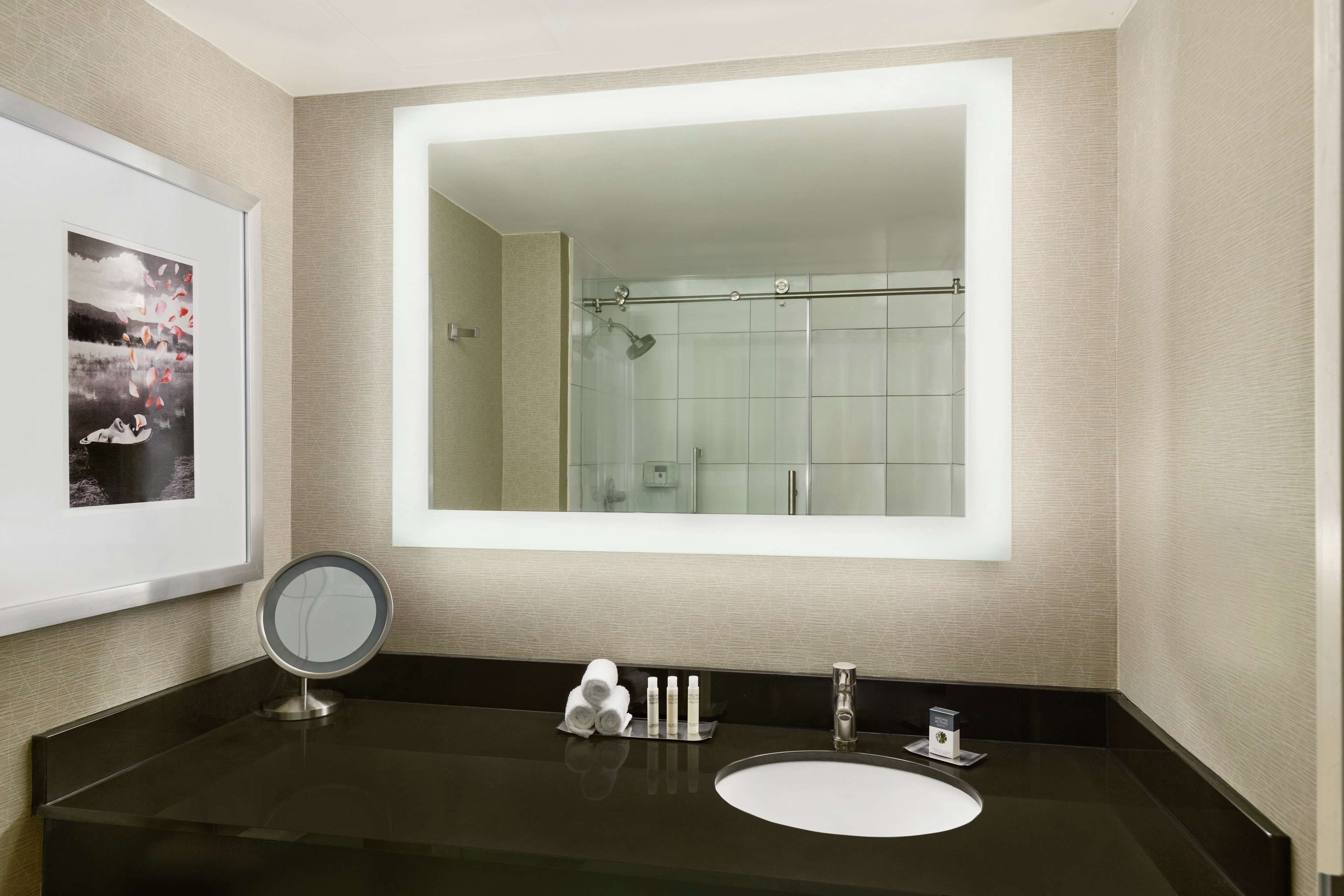 combined shower/bathtub, free toiletries, hair dryer, towels