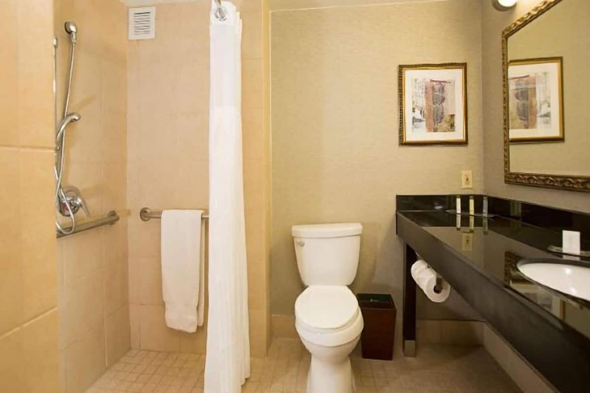 Bathroom | Combined shower/bathtub, free toiletries, hair dryer, towels