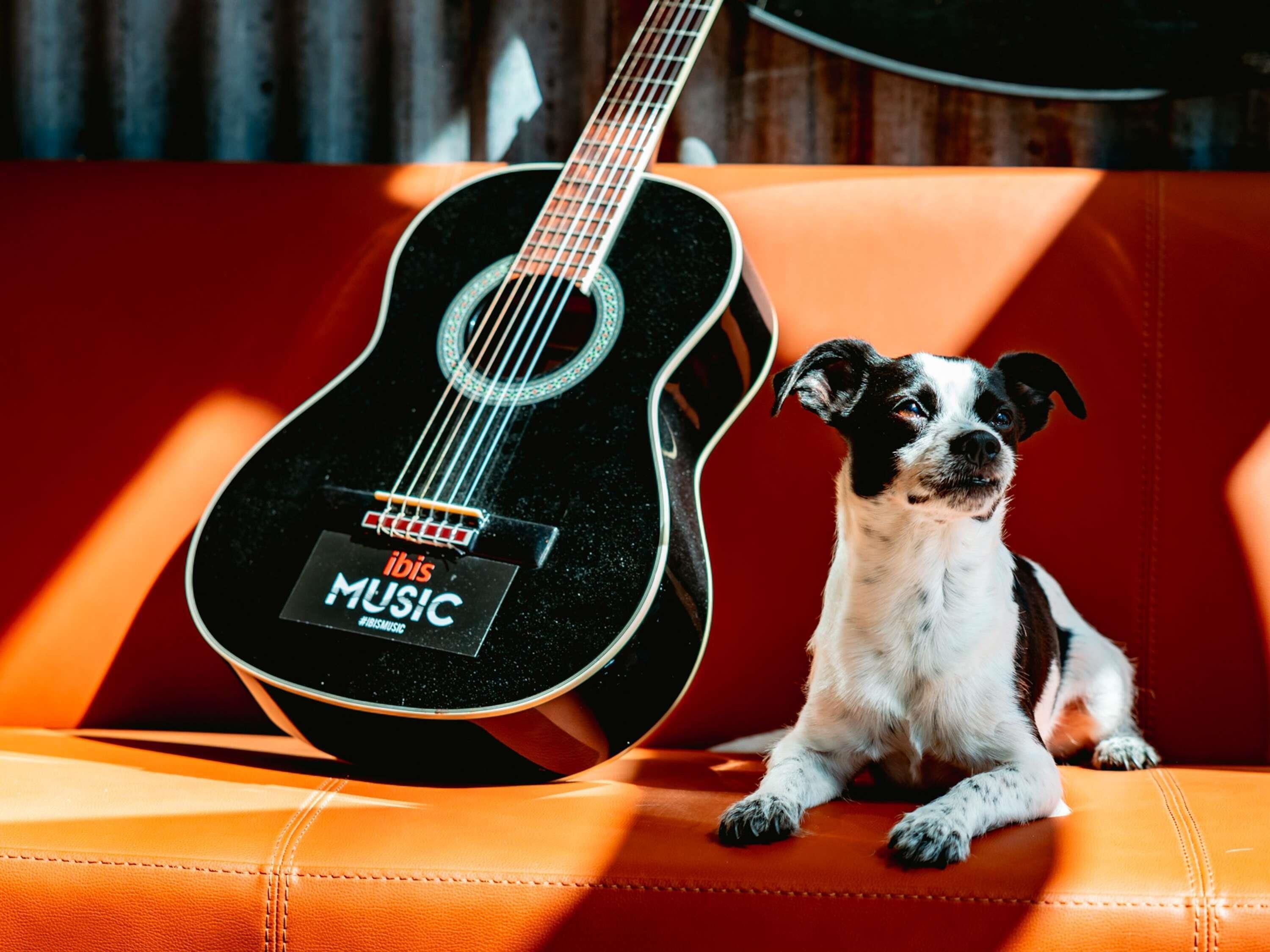 A small dog sitting on a leather couch with a guitar leaning against it.