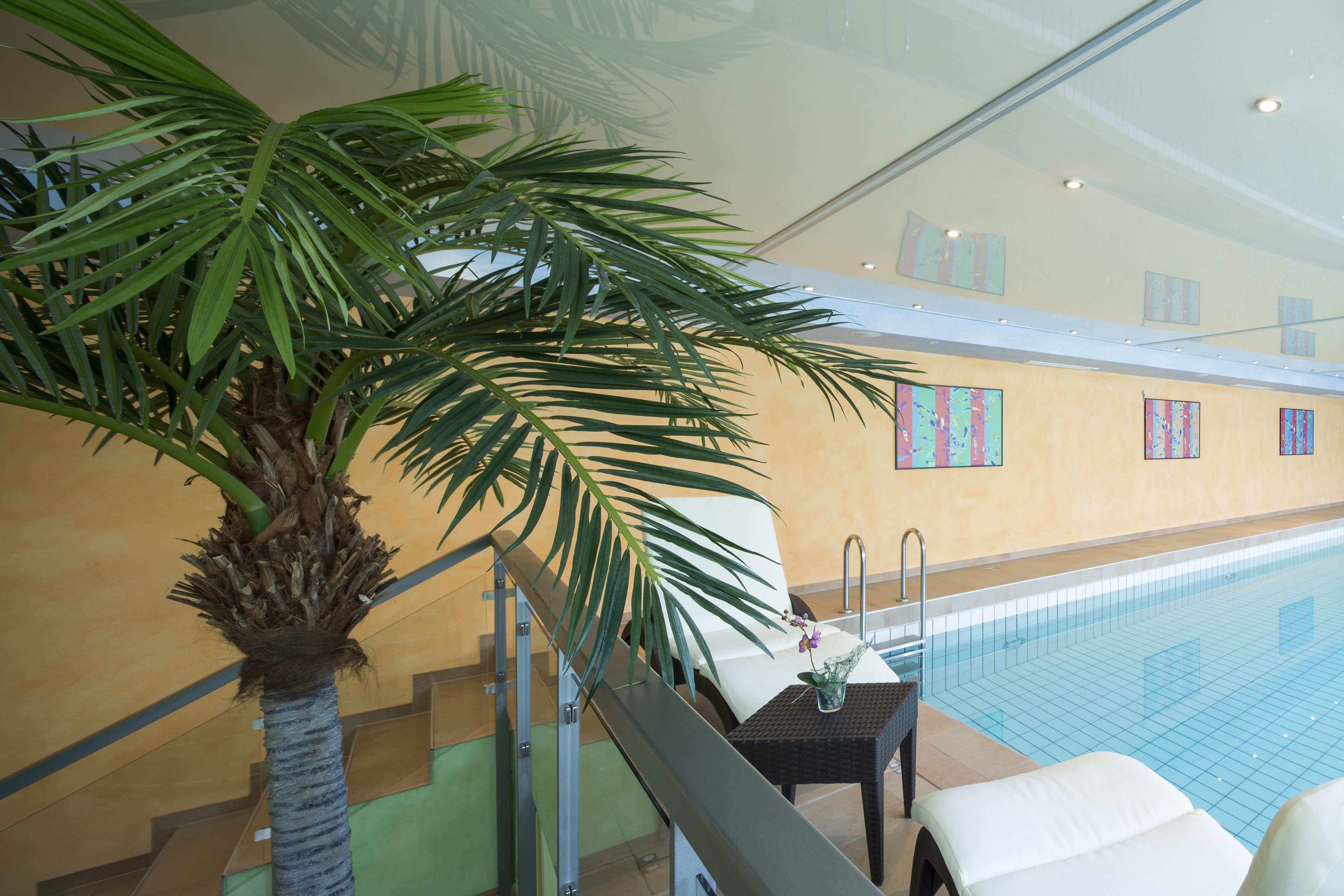 An indoor swimming pool area with a palm tree, a small table with a vase, and a chair.
