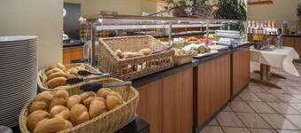 Best Western Plus Hotel Steinsgarten