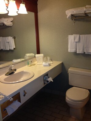 A bathroom with a sink, mirror, towel rack, and toilet. - Quality Inn & Suites Bay Front (Sault Ste. Marie)