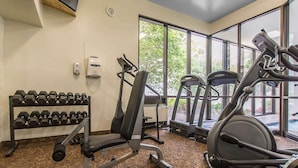 Un gimnasio con equipo de ejercicio, un televisor montado en la pared y una ventana con vistas a la vegetación.