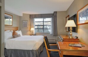 Junior Studio Suite