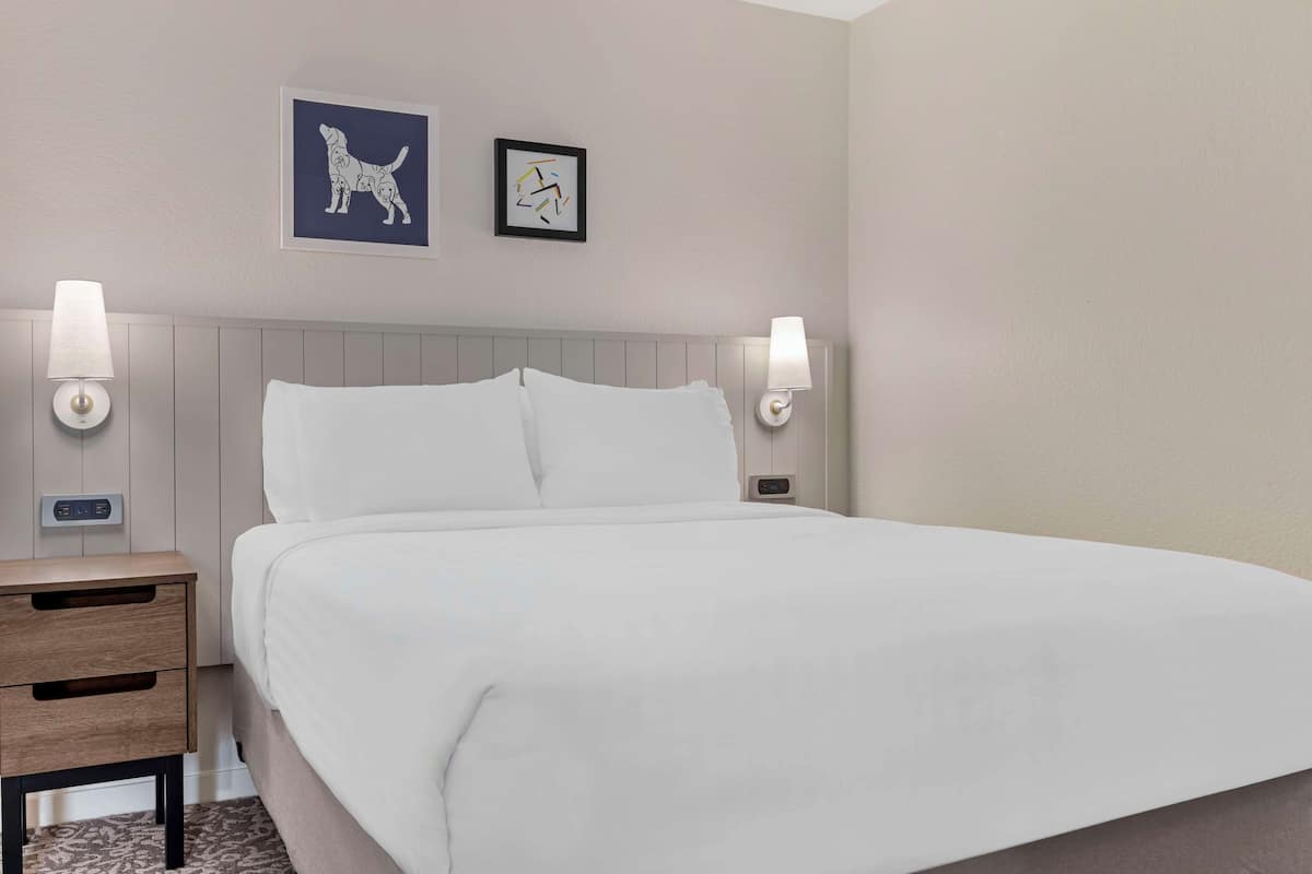 Laptop workspace, iron/ironing board, free WiFi, bed sheets