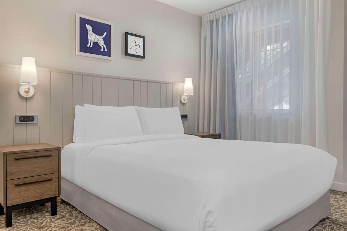 Laptop workspace, iron/ironing board, free WiFi, bed sheets