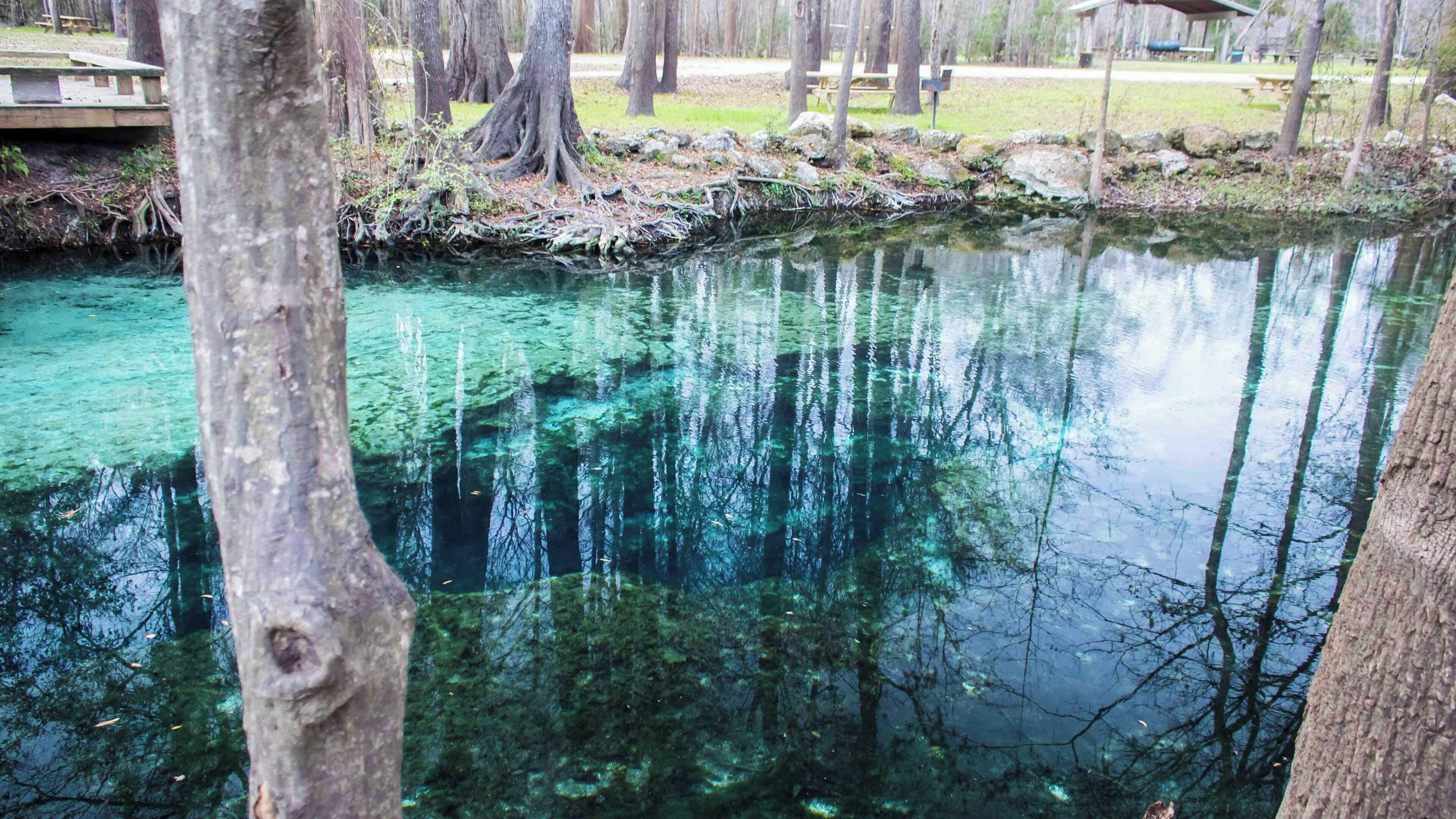 A clear body of water surrounded by trees.