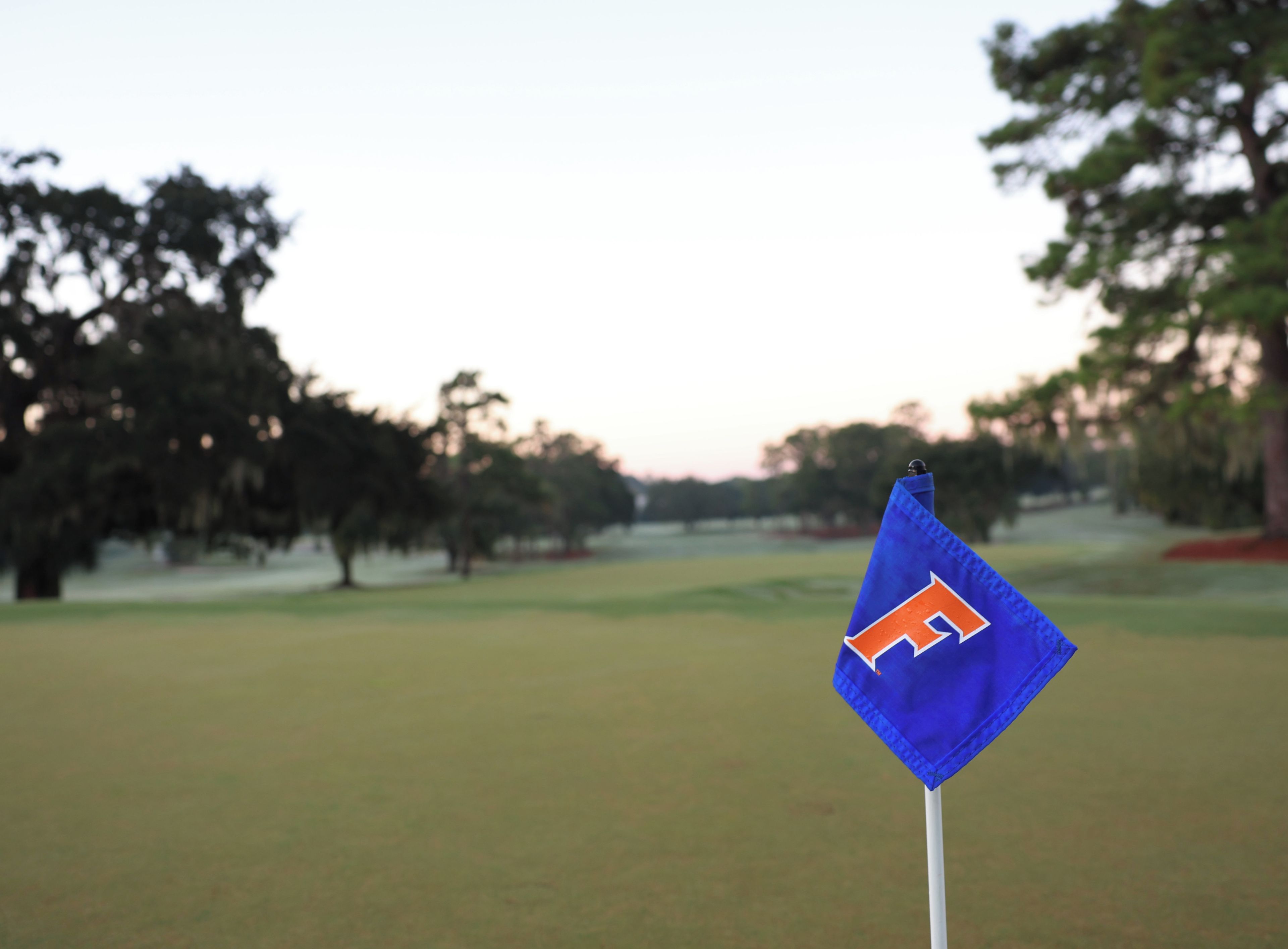 A golf flag on a flagstick on a golf course with trees in the background.
