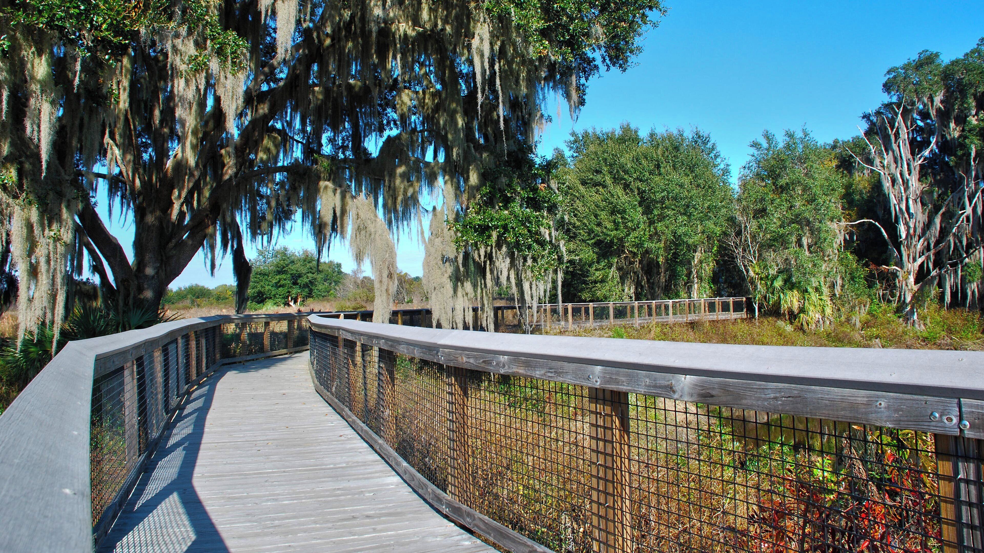 Foto - Holiday Inn Gainesville - University Center by IHG
