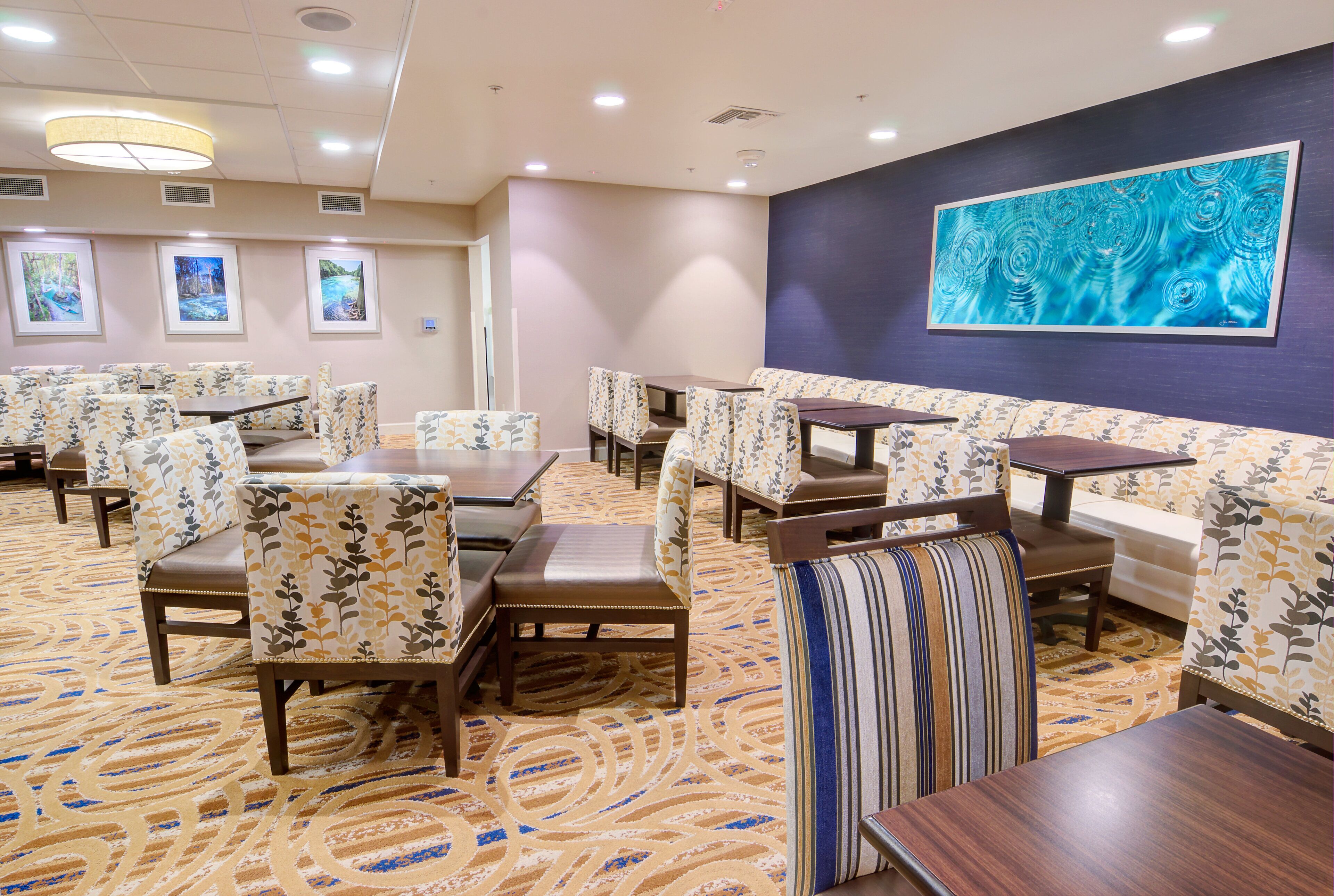 Foto - Holiday Inn Gainesville - University Center by IHG