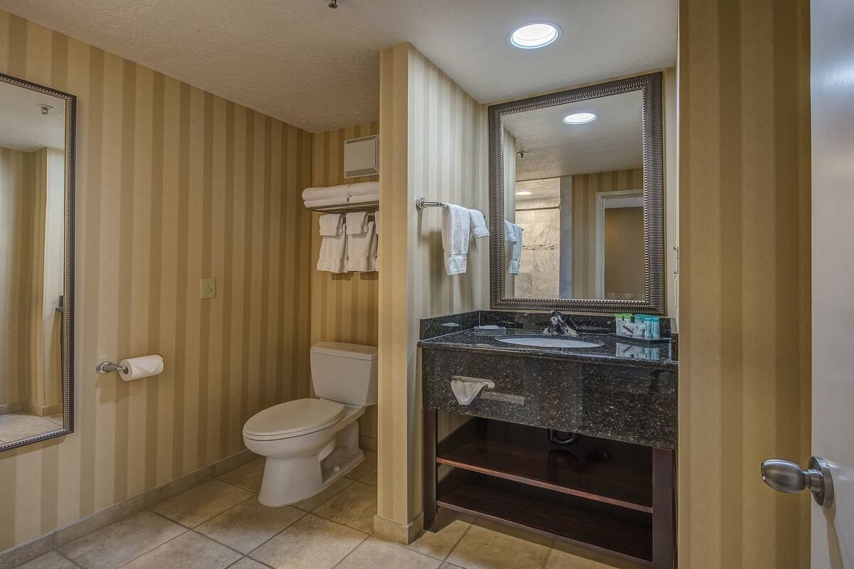 presidential suite, 1 king bed, non smoking | bathroom | free toiletries, hair dryer, towels, soap