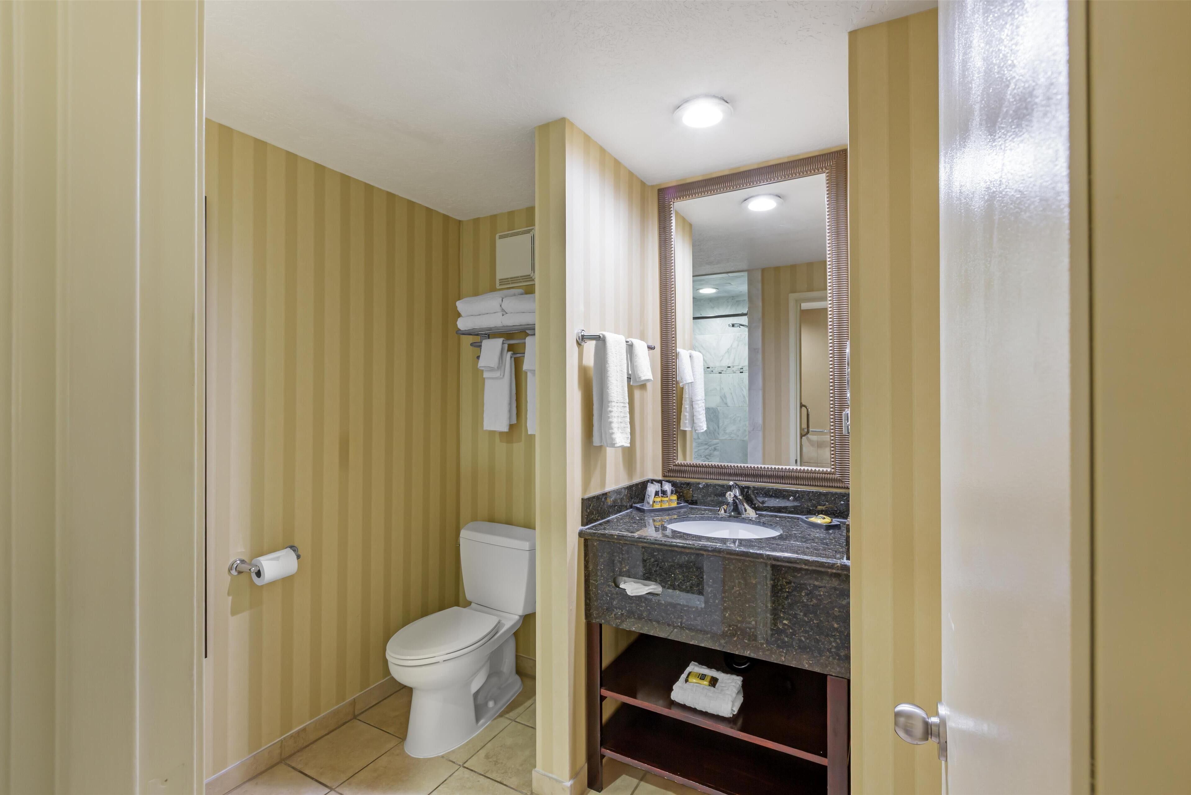 A bathroom with a toilet, sink, and mirror.
