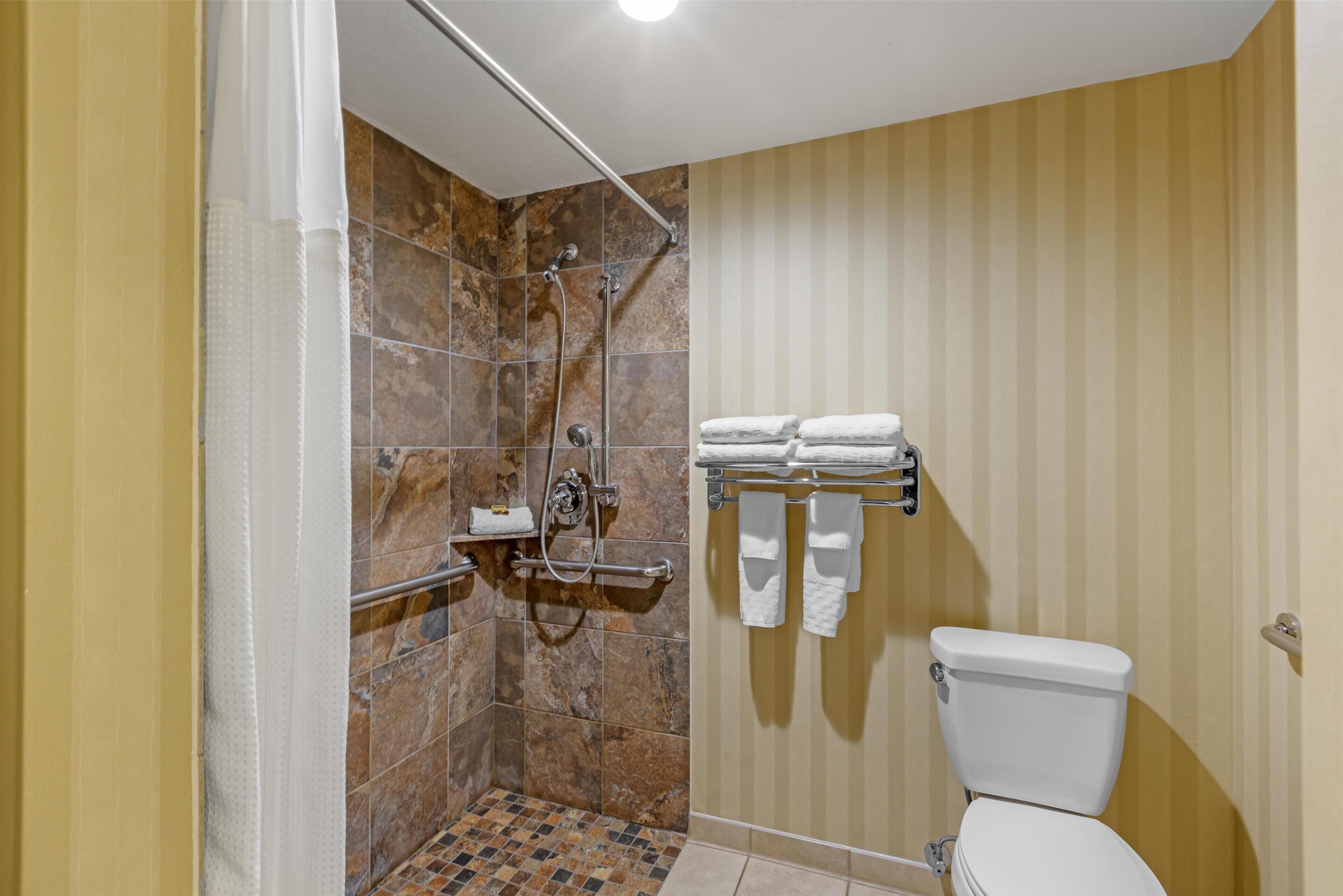 Une salle de bain équipée d’une douche, de toilettes et d’un porte-serviettes.