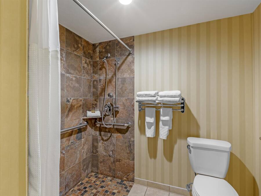 Une salle de bain équipée d’une douche, de toilettes et d’un porte-serviettes.