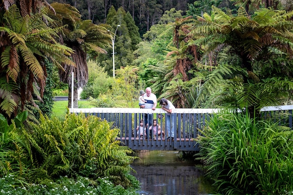 Garden view