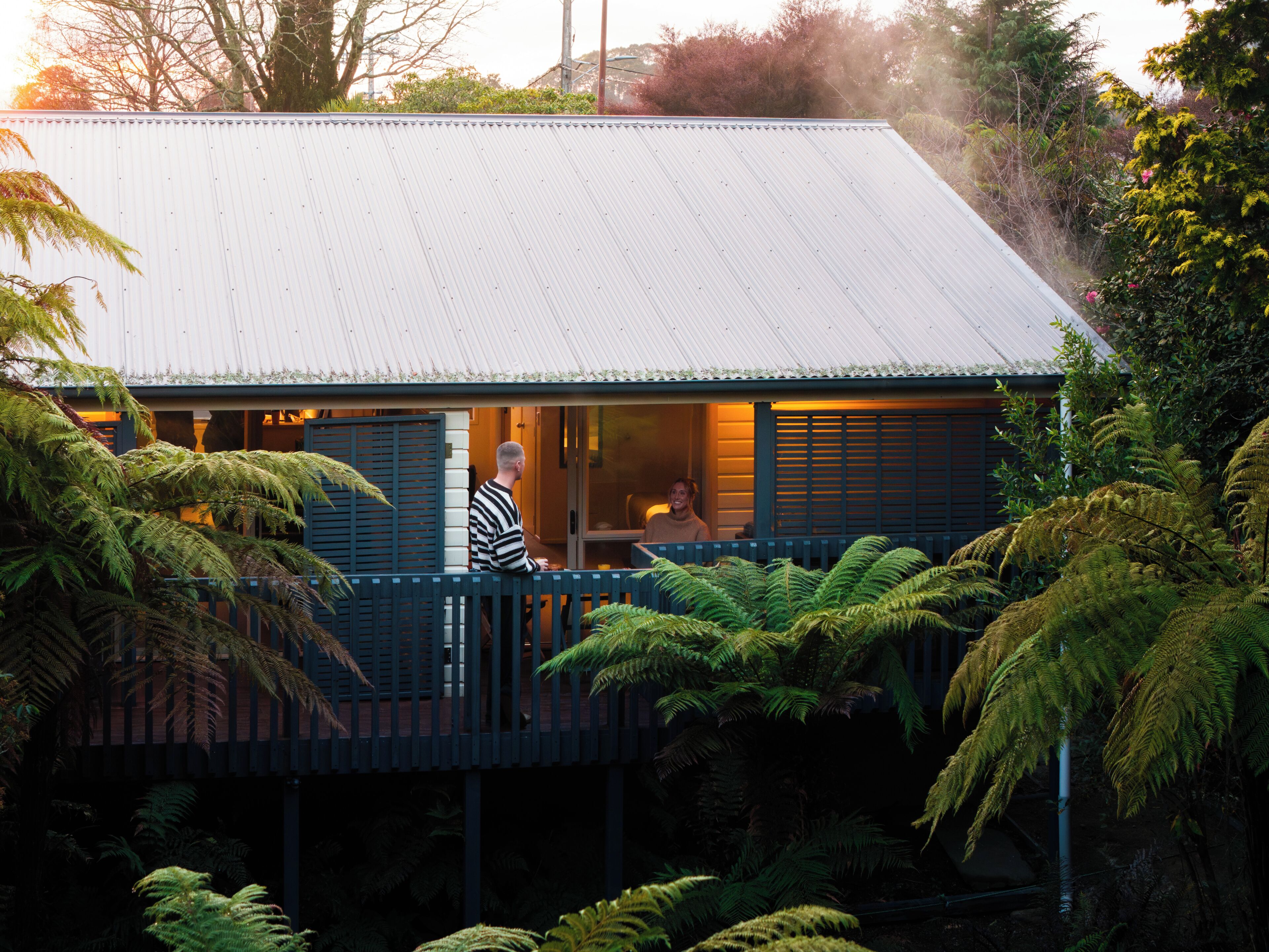 A house with a balcony, surrounded by ferns.