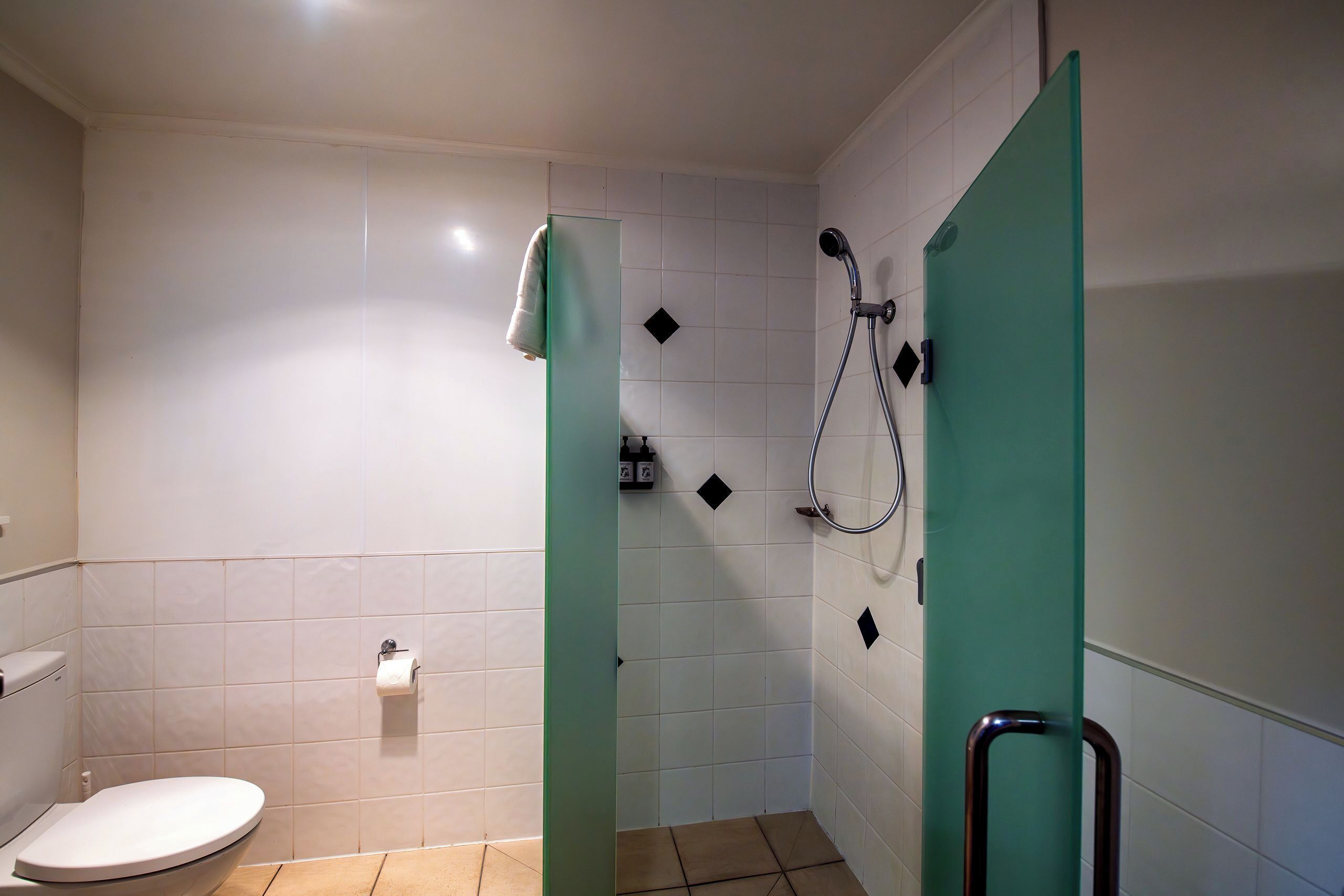A small, clean bathroom with a toilet, a shower, and a glass partition.