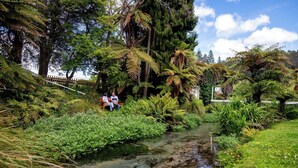 Taman