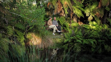 Un couple est assis sur un banc, entouré d’une végétation luxuriante et de fougères.