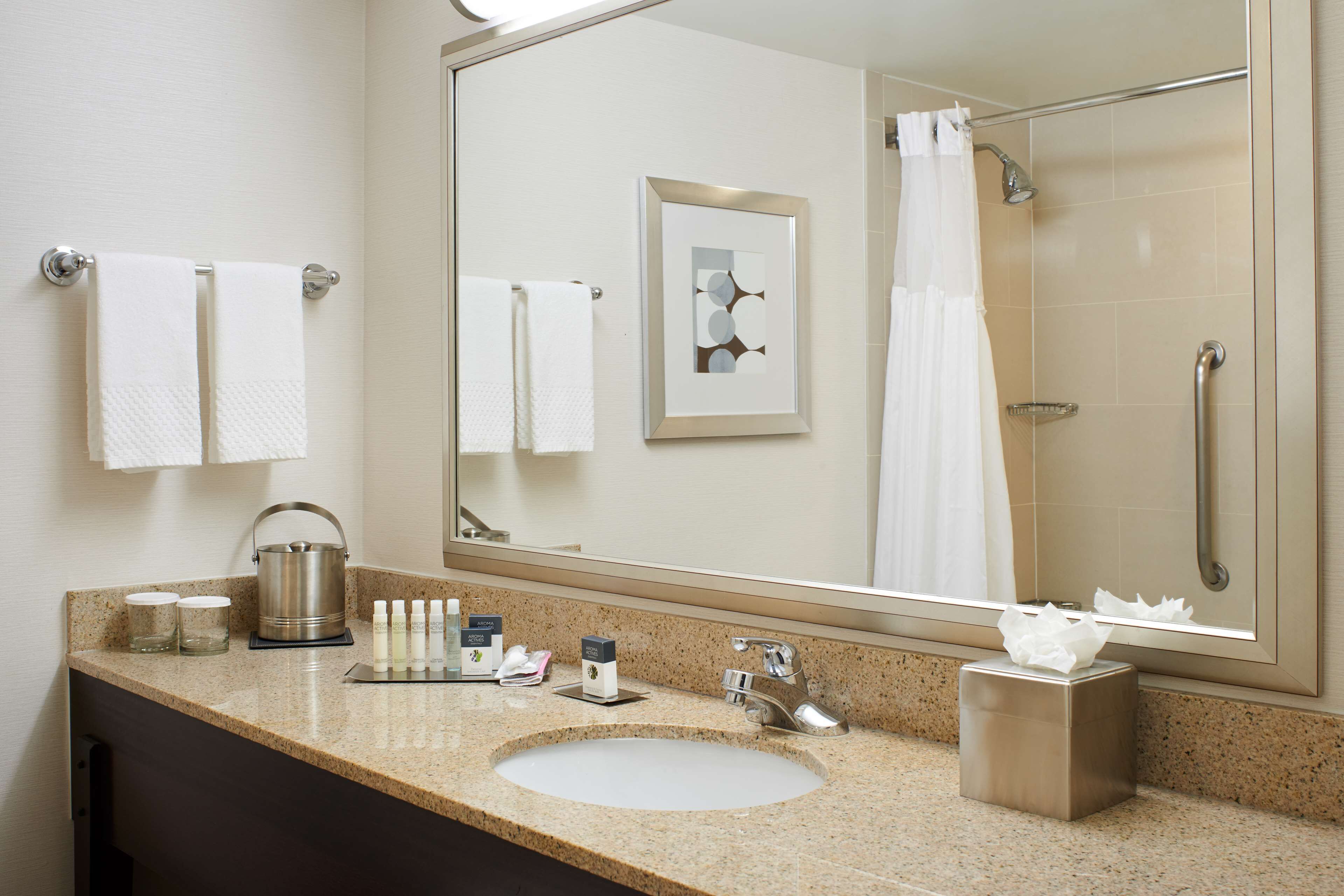 A hotel bathroom with a sink, mirror, towel rack, and shower.