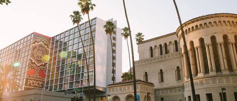Vista de una calle con un edificio moderno que muestra un cartel de 'Peace', palmeras y un edificio histórico con columnas.