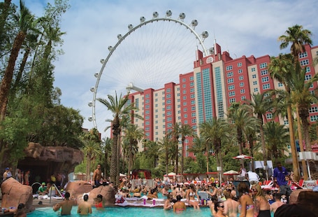 Seasonal outdoor pool, open 9:00 AM to 6:00 PM, cabanas (surcharge). Flamingo Las Vegas Hotel & Casino
