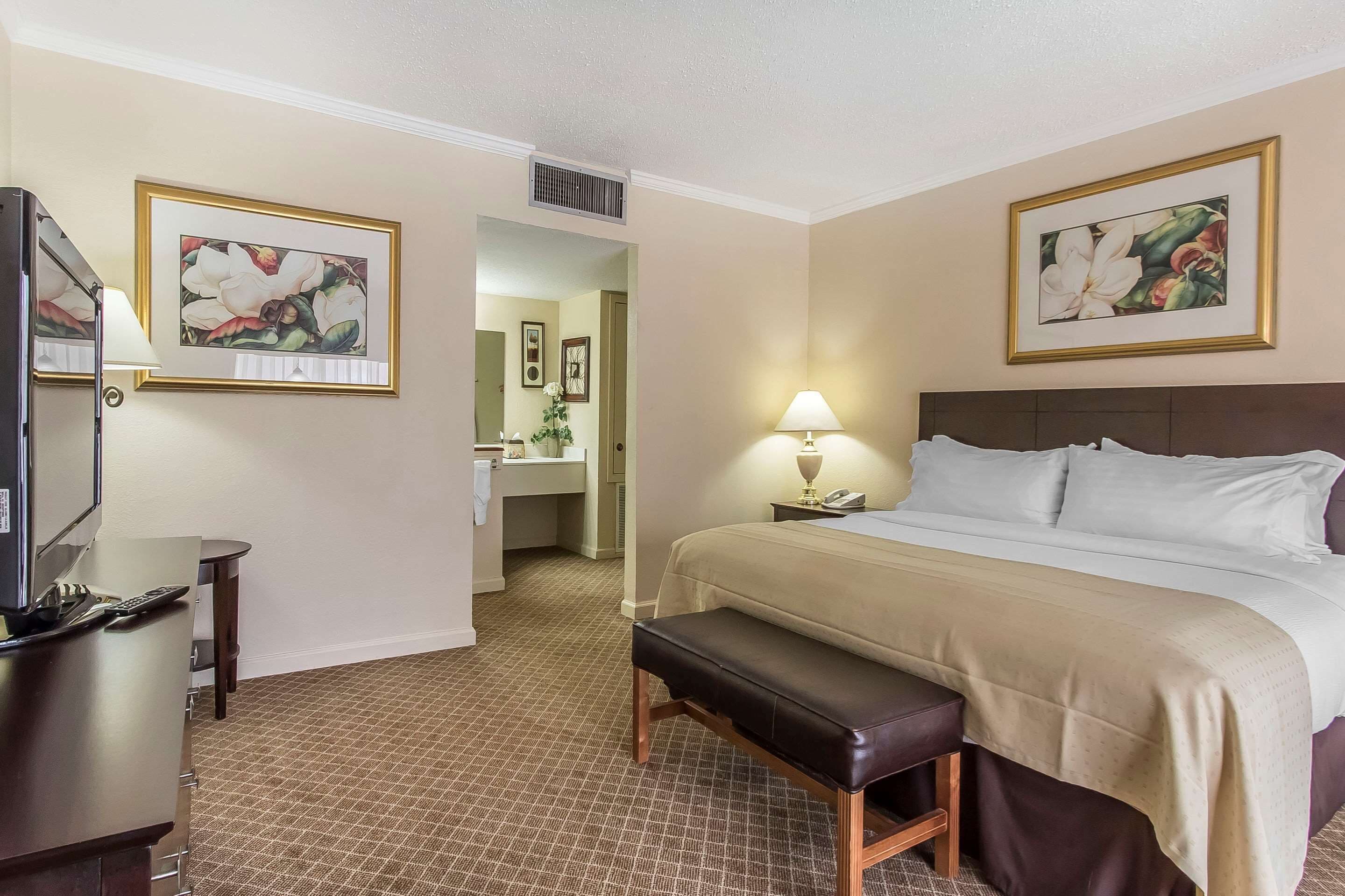 套房, 1 張特大雙人床, 非吸煙房 | 高級寢具、客房內保險箱、書桌、熨斗/熨衣板