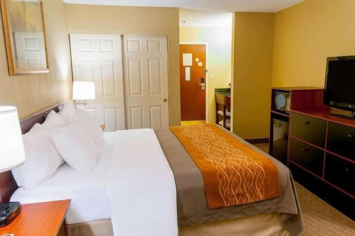 A hotel room with a bed, a TV, a desk with a lamp, and a dresser.