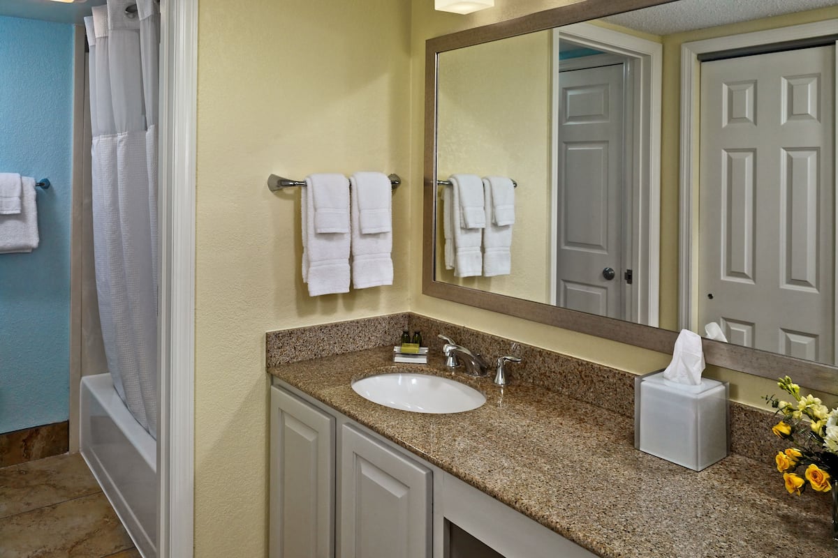 combined shower/bathtub, free toiletries, hair dryer, towels