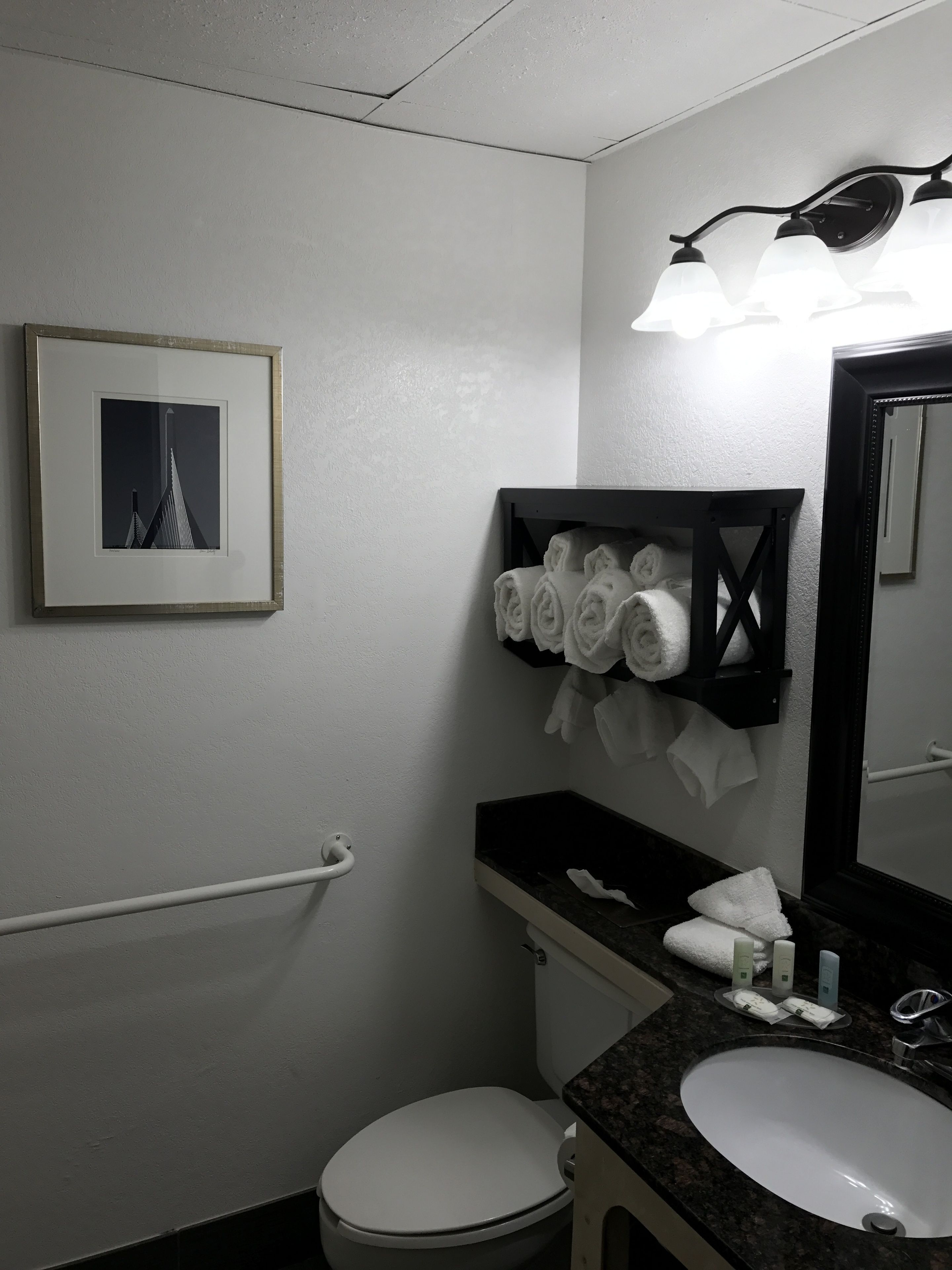 A bathroom with a white toilet, a sink with a marble countertop, a towel rack with towels, a framed picture on the wall, and a mirror with a light fixture.