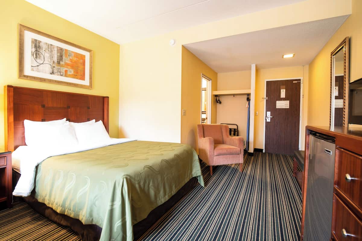 Deluxe Single Room, Garden View | Desk, laptop workspace, blackout drapes, iron/ironing board