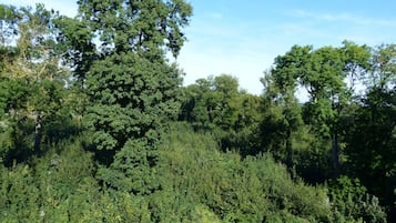 Vista desde la habitación