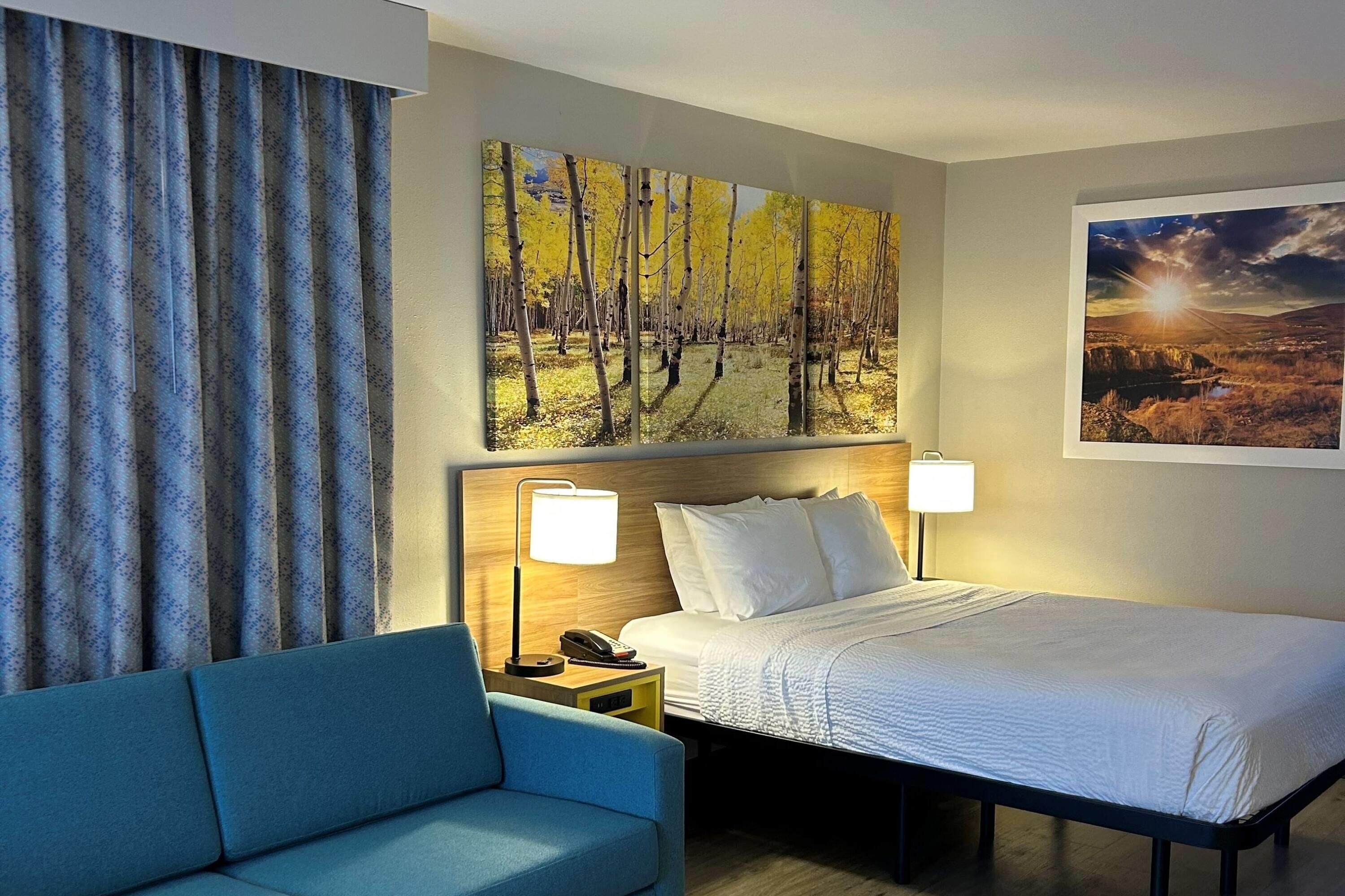 A hotel room with a bed, two bedside lamps, a blue sofa, a large painting of a forest, and a landscape painting on the wall.