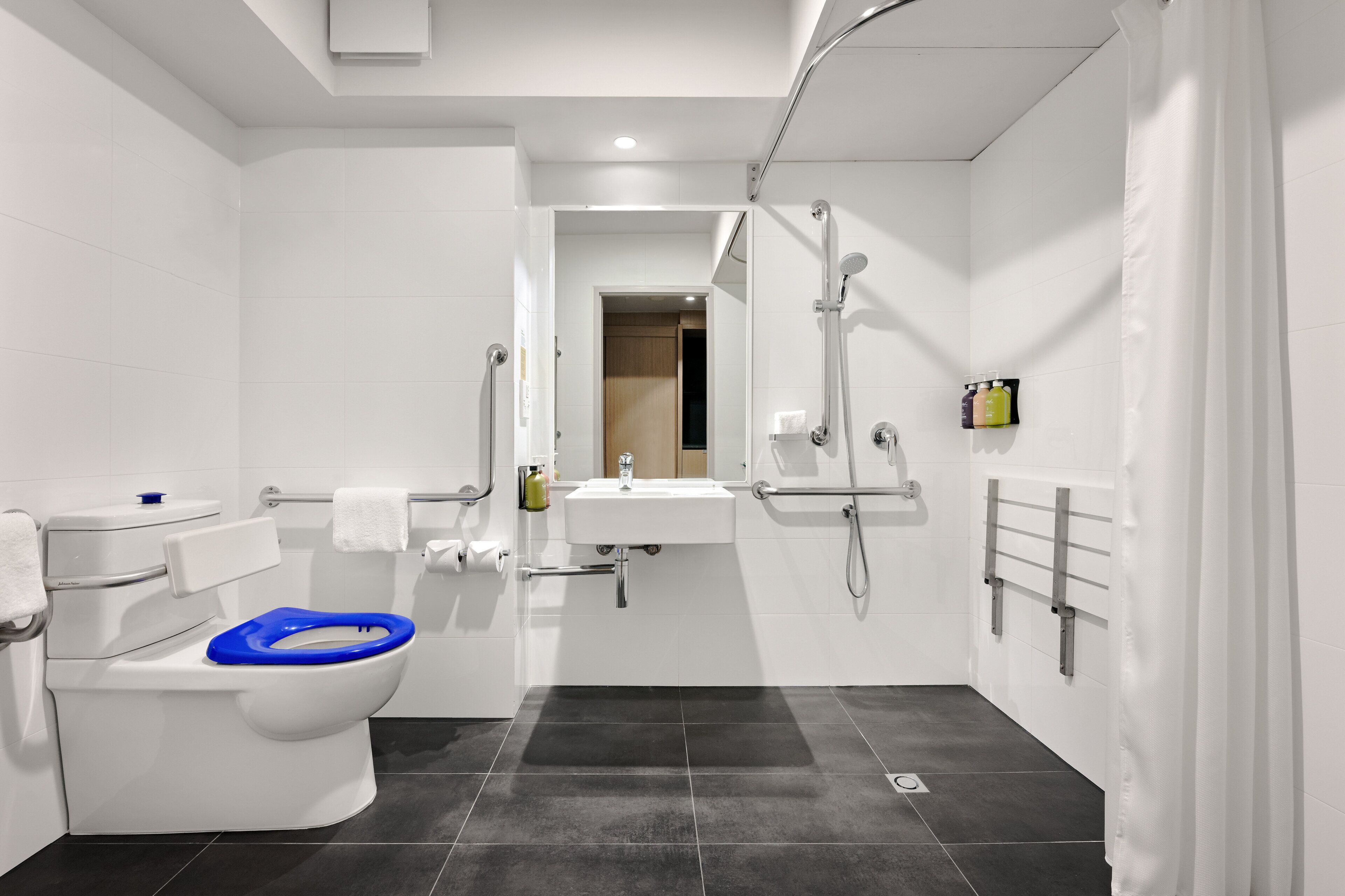 standard room, 1 king bed, accessible | bathroom | free toiletries, hair dryer, towels, soap